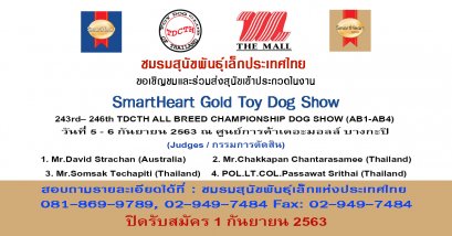 SmartHeart Gold Toy Dog Show 2020
